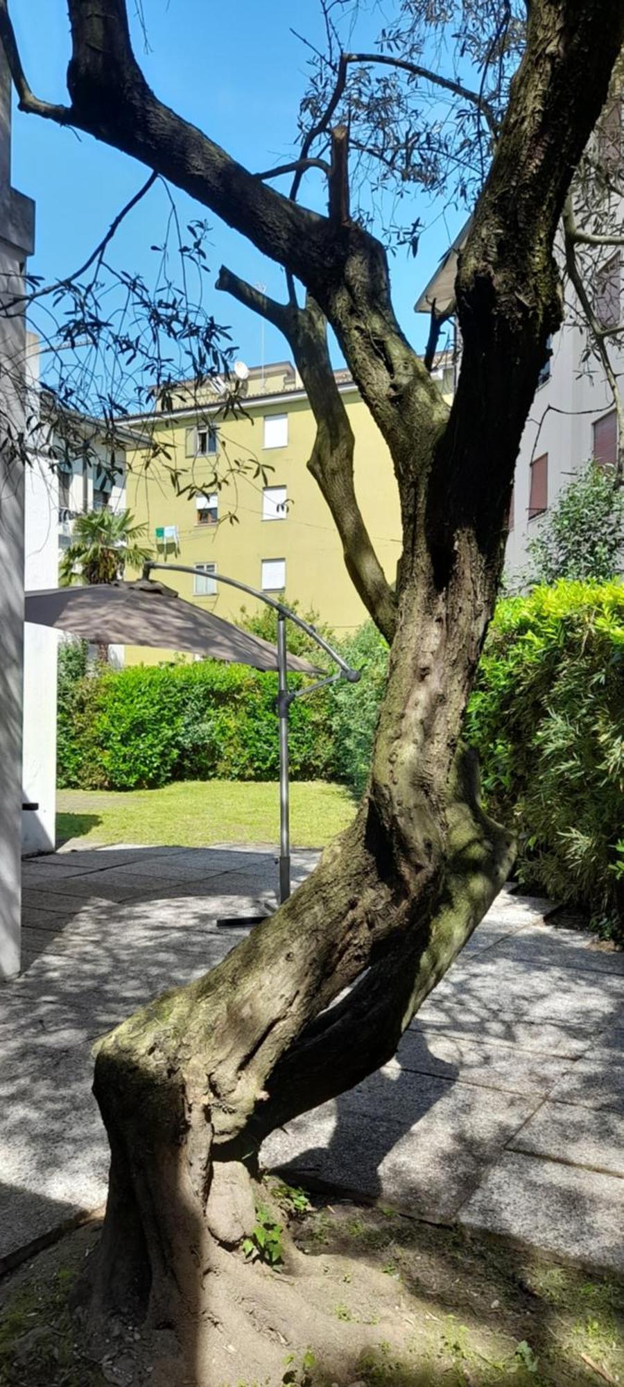 מסטרה Villa Andrea מראה חיצוני תמונה
